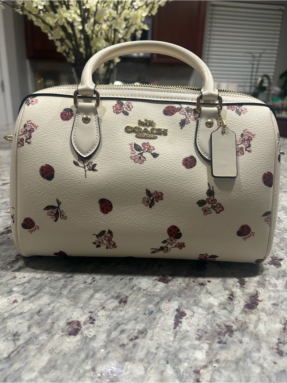 Coach Cream Satchel with Floral and Ladybug Motif - Picture 2 of 7